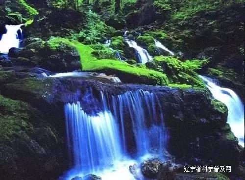 咳嗽有痰怎么治最有效？